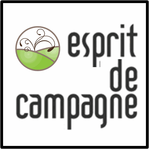 Company team