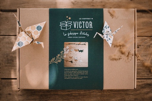 Coffret "Victor" - Créez un mobile en origami